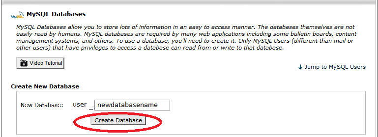 create MySQL database for WordPress