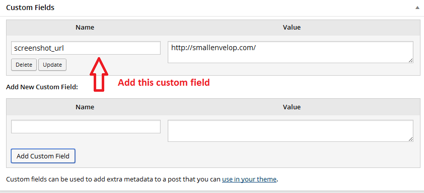 custom field option