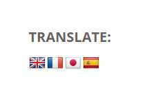 google translate-flag