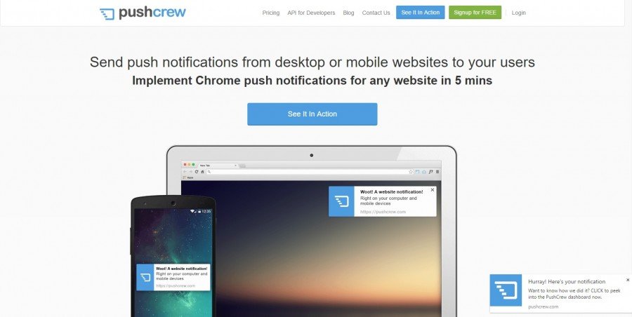 pushcrew WordPress Push Notification Plugins