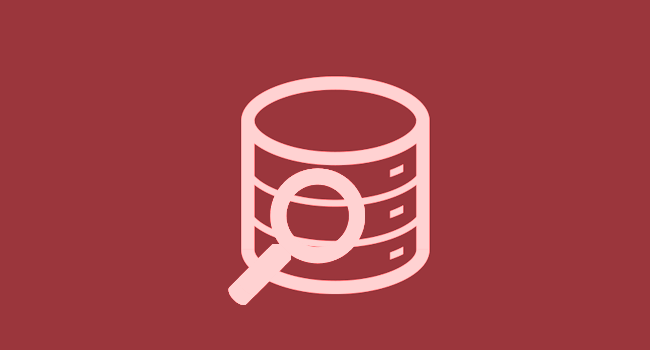 Optimize your database to maintain WordPress Website