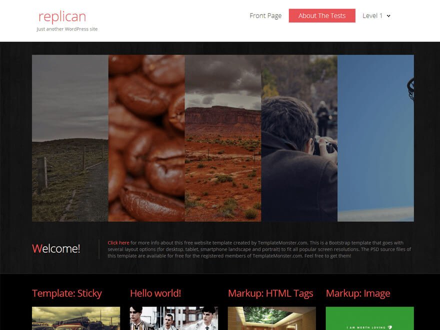 replican-photography-theme