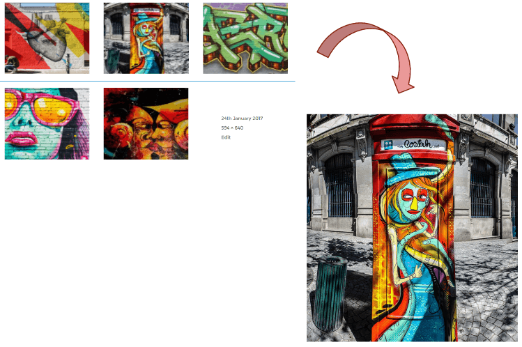 meow-gallery