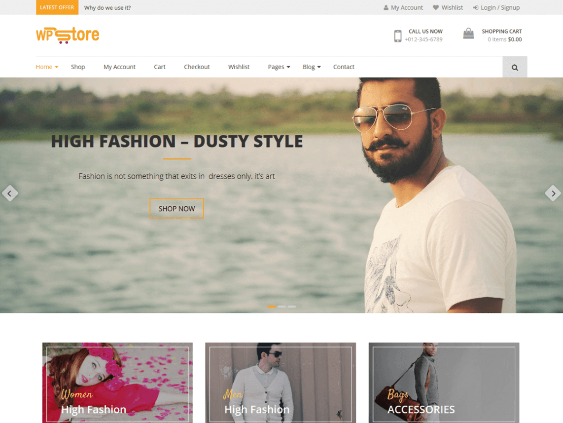 WPStore WordPress theme