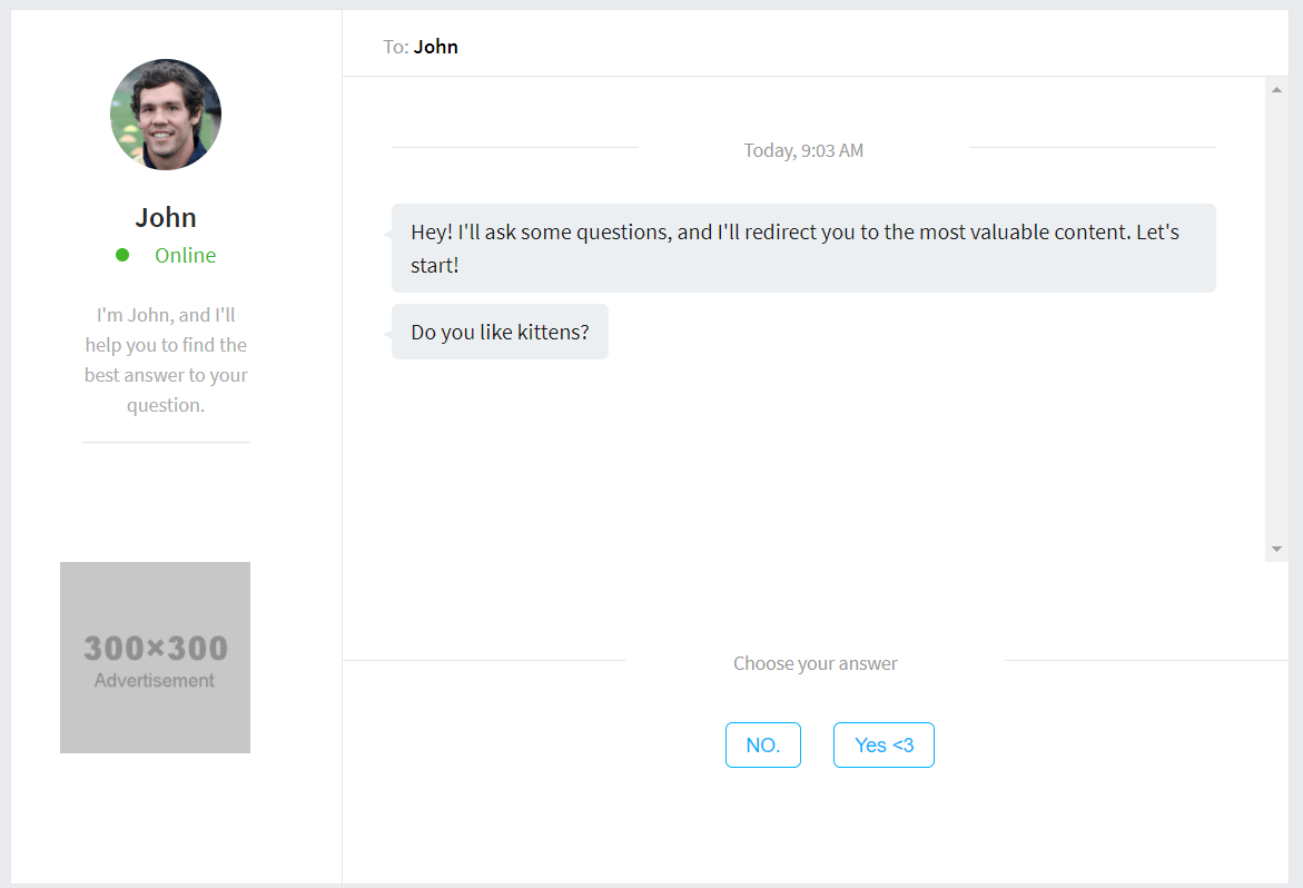WP Chatbot plugin demo